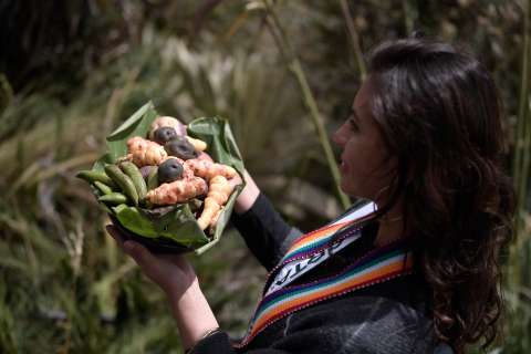 Cumbre campesina previa a la COP16 se realizará el 29 y 30 de agosto en Fusagasugá