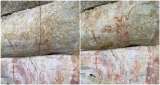 “Destapan” pinturas rupestres ocultas en La Lindosa
