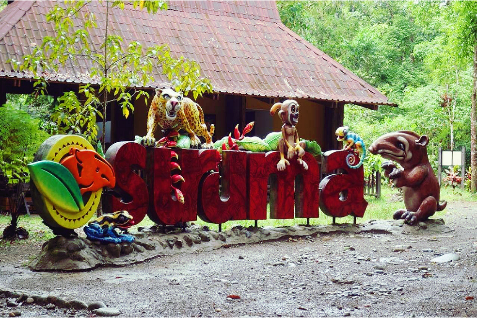 En el Parque Suruma recuperan animales que han estado en cautiverio o forzados a estar fuera de su hábitat natural.