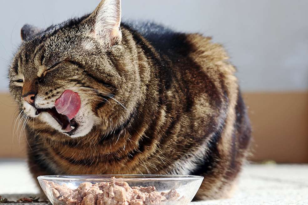 Foto: iStock.