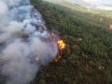París en alerta e incendios en Turquía: Europa vive una extrema ola de calor
