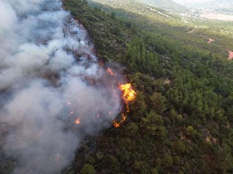 París en alerta e incendios en Turquía: Europa vive una extrema ola de calor