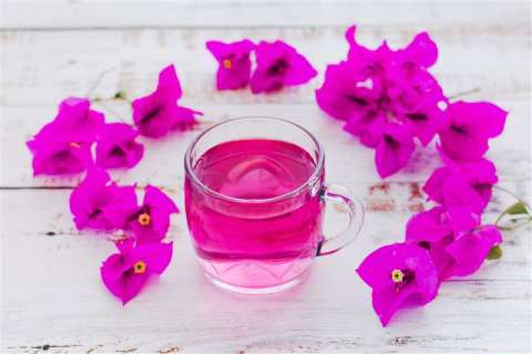 Buganvilia: cómo hacer té y sirope con esta flor comestible