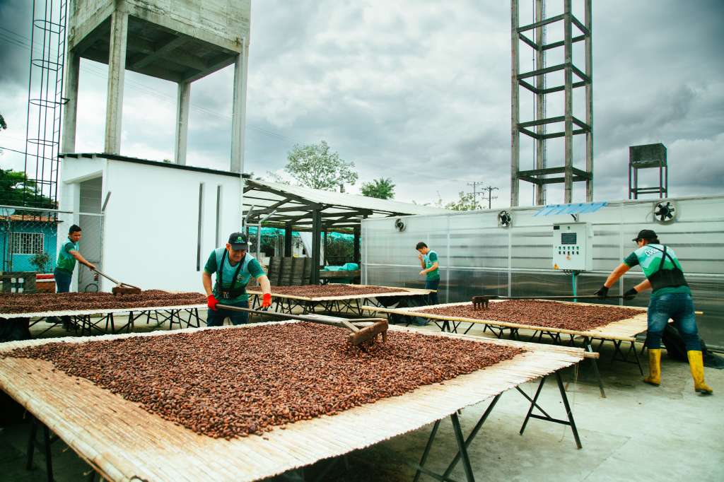 Comprocar le ayuda a los hijos de los cultivadores con subsidios de estudio.