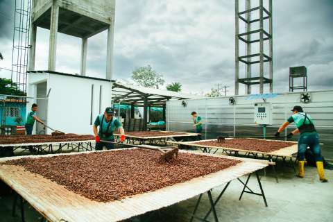 Las empresas que entendieron que emprender y a la vez construir paz sí es posible