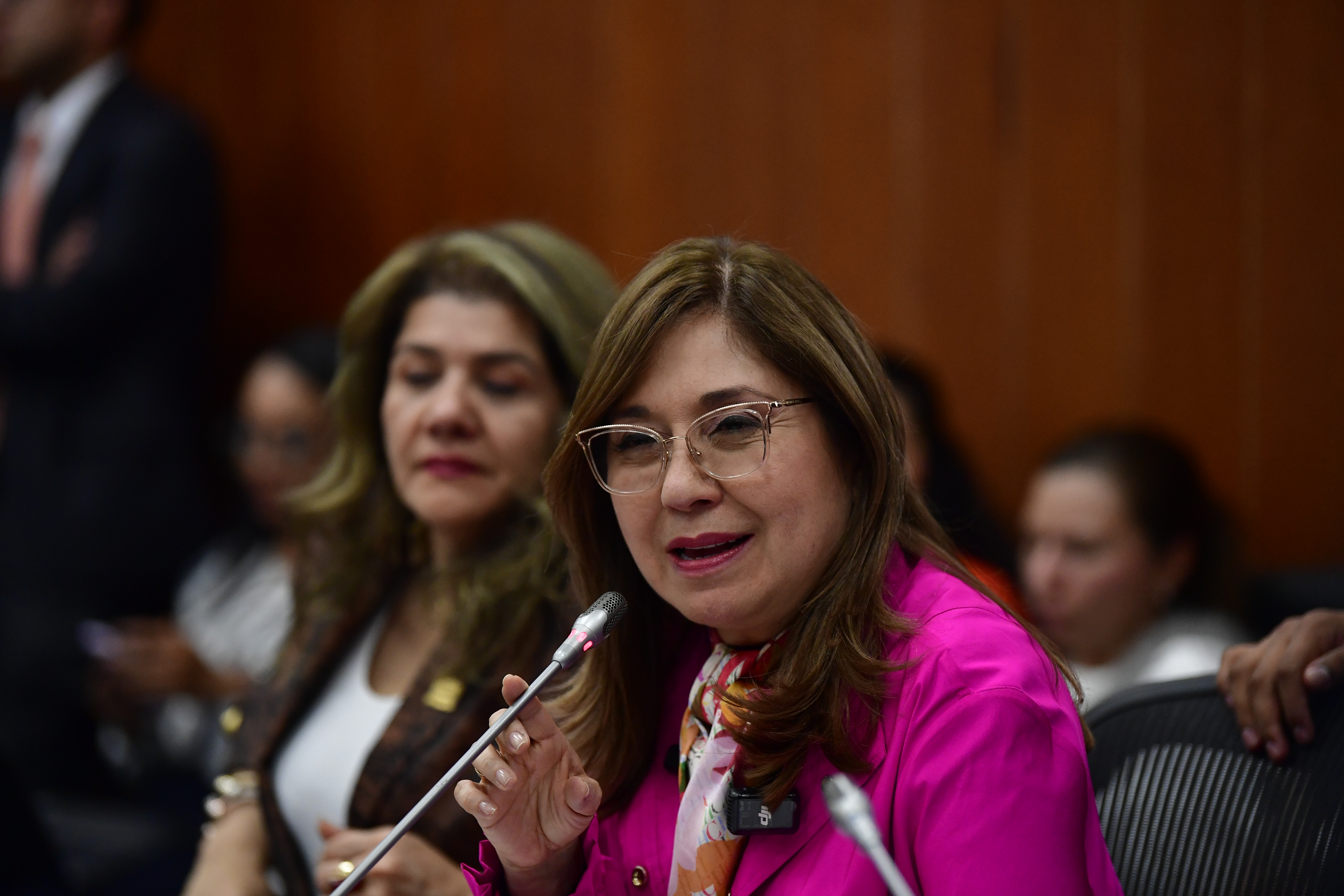 Senadora del Partido de la U durante el debate de la reforma laboral del gobierno de Gustavo Petro la cual se hundió en la Comisión Séptima del Senado