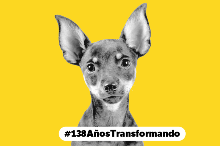 De cosas a seres sintientes: así ha avanzado la protección de los animales
