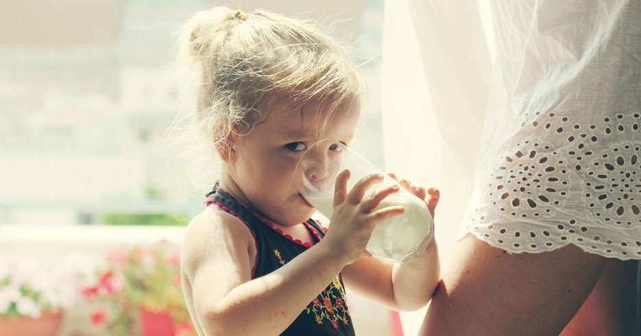 Leche para todos los gustos, ¿cuáles son sus beneficios?