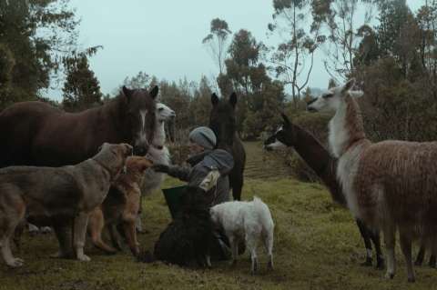 Este viernes se estrenará, por Señal Colombia, la serie "Gente del común, fuera de lo común"