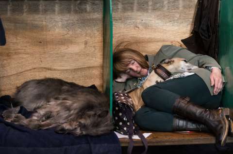 La mayor exposición de perros del mundo