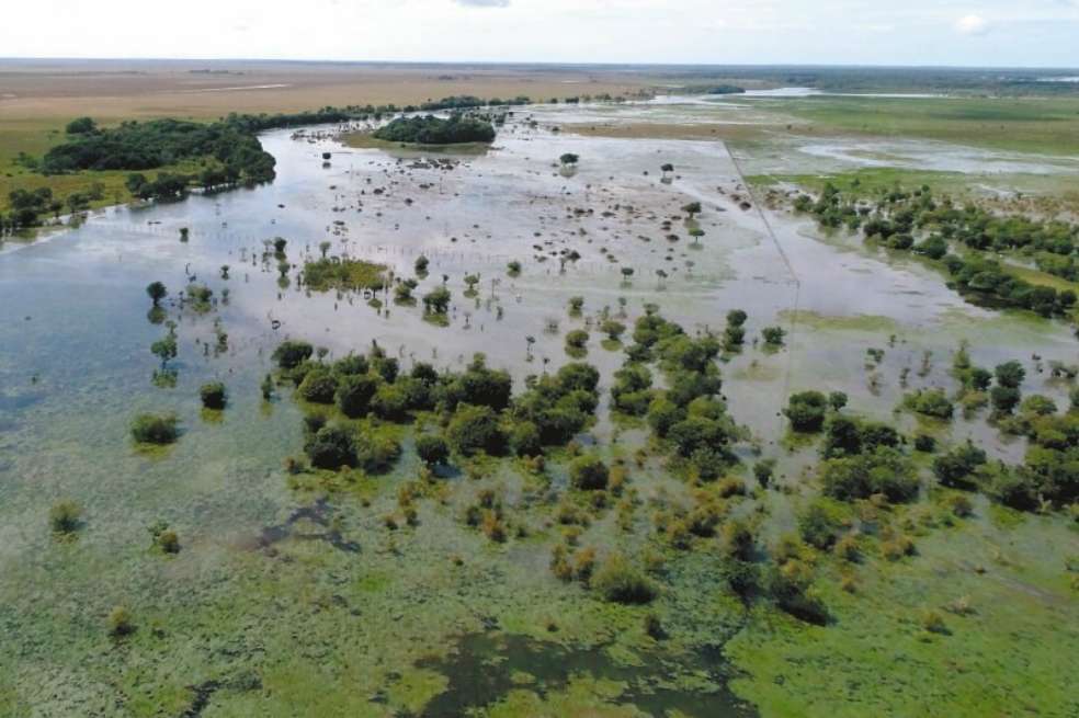 La Orinoquia colombiana tiene el 32 % de la superficie inundable del país. / Jorge García - WWF