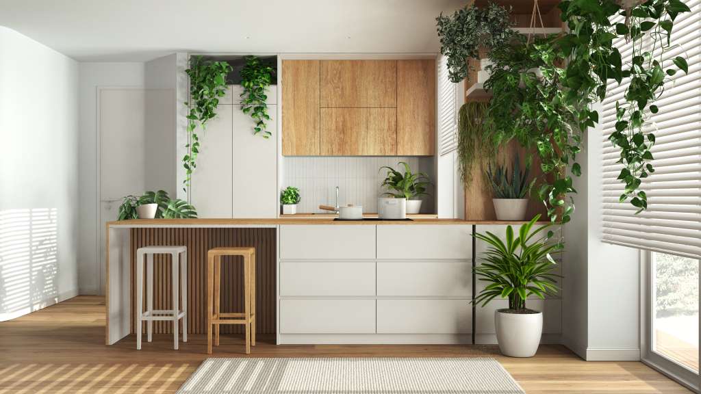 Foto que muestra una cocina de tonos blancos y madera en la que hay varias plantas, tanto en el piso, como colgantes.