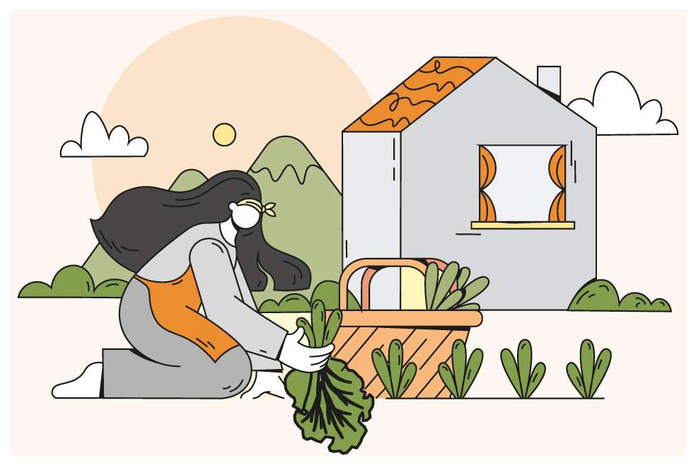 ¿Qué plantas puede cosechar de manera rápida en su huerta?