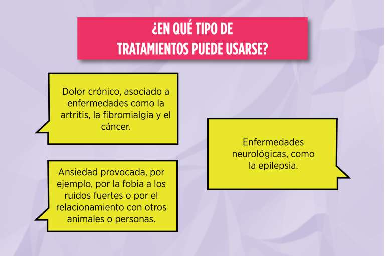 Los beneficios del cannabis medicinal han sido probados en diferentes tratamientos.