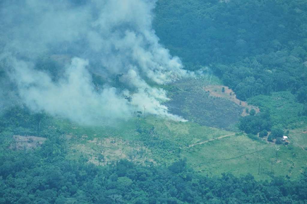 La Defensoría ha advertido, a través de mecanismos como la Alerta Temprana 001, sobre la relación entre deforestación, economías ilegales, violencia y desprotección de derechos.