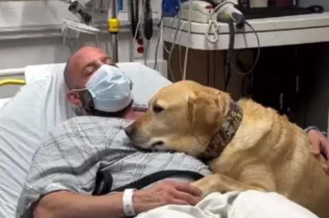 La historia de Magnus, el perro de terapia que acompaña a su dueño en el hospital