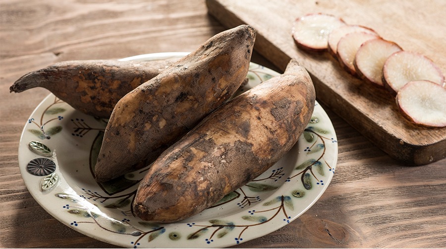 El yacón, un tubérculo andino que se confunde fácilmente con la yuca, pero que sorprende por su sabor dulce, su textura crujiente y sus beneficios para la salud.