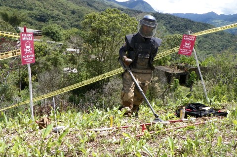 En Cundinamarca hay 24 municipios libres de minas antipersona