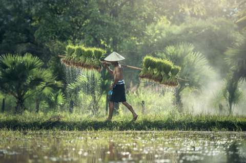 Migración: una alternativa para la agricultura mundial