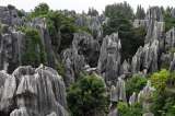 Bosques de piedras