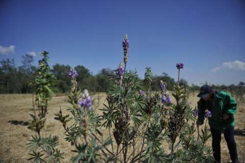 Límites de las reservas forestales estarán en manos de las CAR. Preocupa destino de la Van Der Hammen