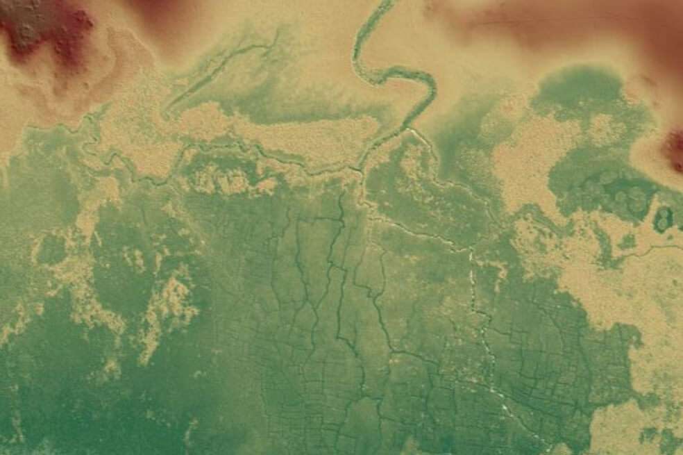 Imagen del antiguo sistema de campo de humedales mayas de Birds of Paradise y partes de otros cercanos como Gran Cacao (izquierda) y Akab Muclil (derecha) al noroeste de Belice.
/ T. Beach et al. (University of Texas at Austin, Austin, Texas)
