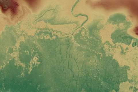 El impacto de los mayas en el medio ambiente fue mayor de lo que se creía