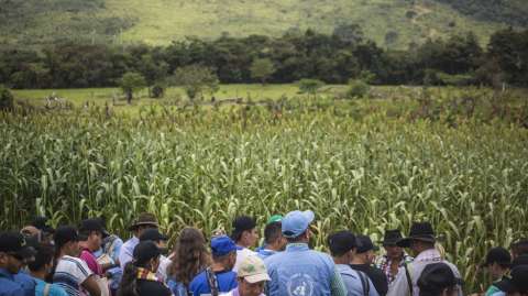 Las amenazas contra los exguerrilleros que no se fueron con “Romaña”