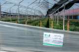CAR sancionó empresas de flores que tenían cultivos en la reserva Van der Hammen