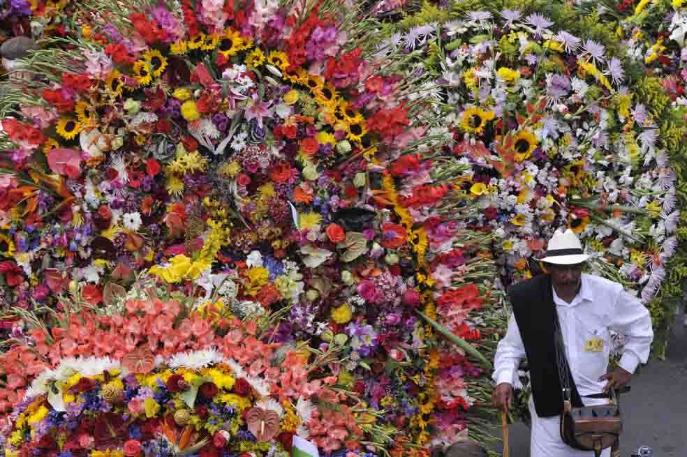 Este domingo, como es tradición desde hace 56 años, desfilarán cientos de silleteros por las calles de Medellín. Saldrán a las 2:00 p.m. del Puente Guayaquil. /Luis Benavides