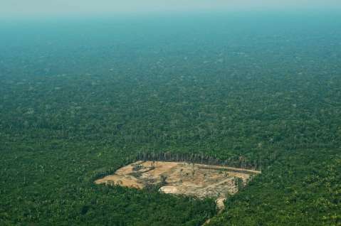 Despedido por Bolsonaro por revelar datos de la inquietante deforestación en Brasil