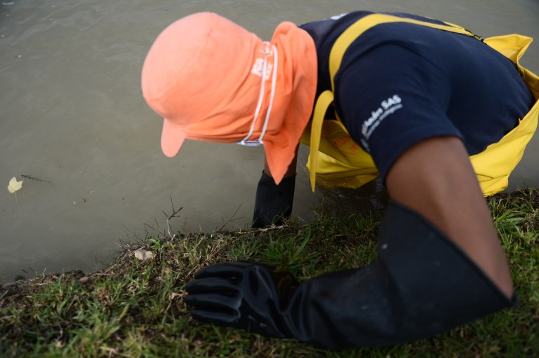 La labor de control es diaria, para evitar el deterioro del lago y la afectación de otras especies.