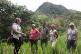 ARROZ SECANO, MEDIDA DE ADAPTACIÓN Y RESILIENCIA AL CAMBIO CLIMÁTICO