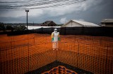 ABC del ébola, tras la declaración de emergencia de salud global: ¿Por qué es inquietante?
