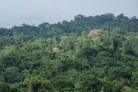 Unicef: paso de menores por selva del Darién se multiplicó por 15