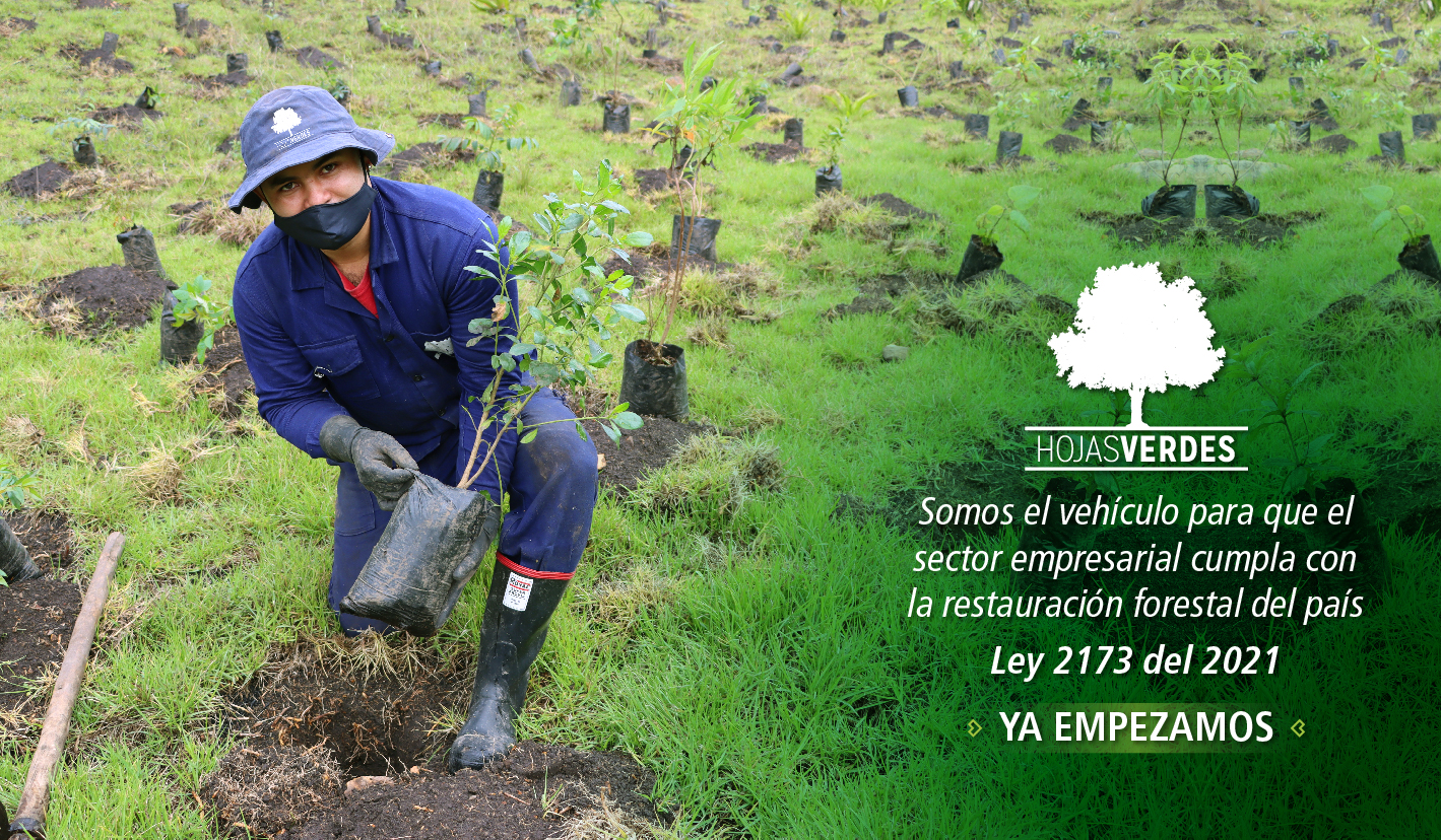 Hojas Verdes ofrece a las empresas del país la oportunidad de cumplir con lo dispuesto en la Ley 2173 .