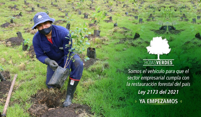 Marco legal para la Acción Climática Empresarial en Colombia