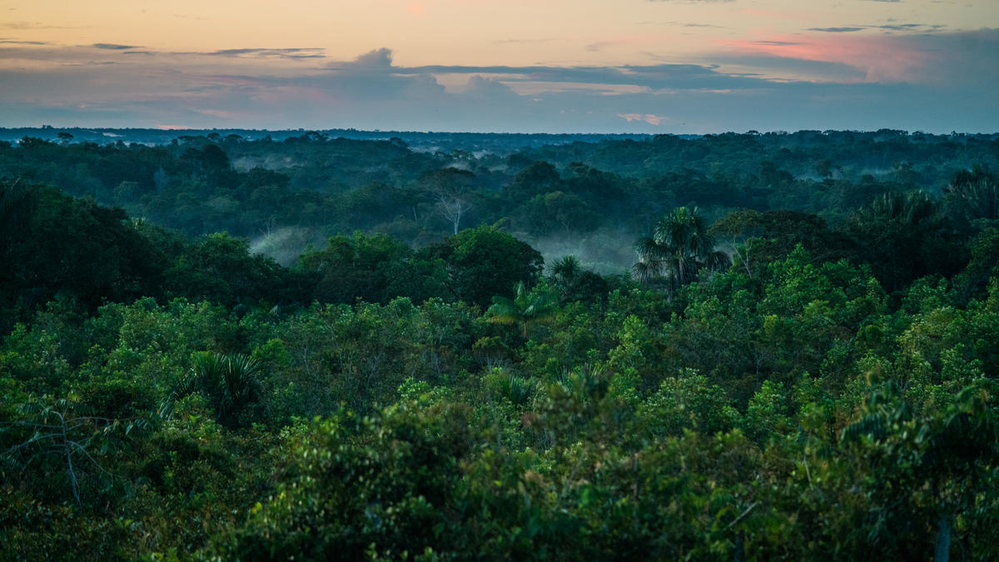 Amazonia