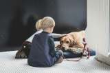 Entre el riesgo y la recompensa: el dilema de niños inmunodeprimidos con mascotas