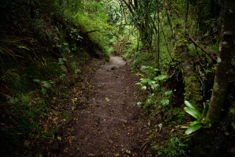 Senderos de los cerros orientales reabrieron, ¿cómo agendar una visita?