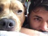 La promesa que Camilo Triana le hizo a su perro Magnus terminó salvando ocho vidas
