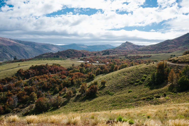 La Organización para la Alimentación y la Agricultura (FAO), con el financiamiento del Fondo Verde para el Clima (FVC), está implementando proyectos de conservación de bosques nativos, que incluyen la generación de medios de vida y la preservación de tradiciones ancestrales de comunidades rurales de Argentina, Colombia y Chile.