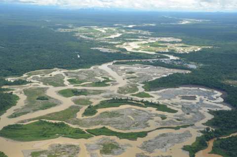 Lanzan línea de crédito para financiar proyectos de recuperación en zonas con deforestación