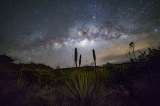 Lo que dicen las señales relacionadas con las primeras estrellas del universo