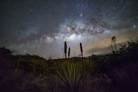 Lo que dicen las señales relacionadas con las primeras estrellas del universo