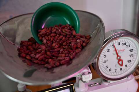 El italiano que viajó a Colombia por el cacao y hoy trabaja con cientos de campesinos