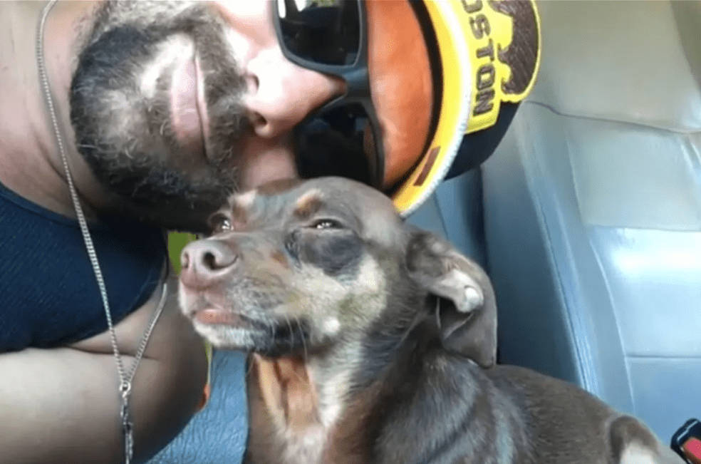 Ocho años sin su perro y un mensaje inesperado le devolvió la esperanza