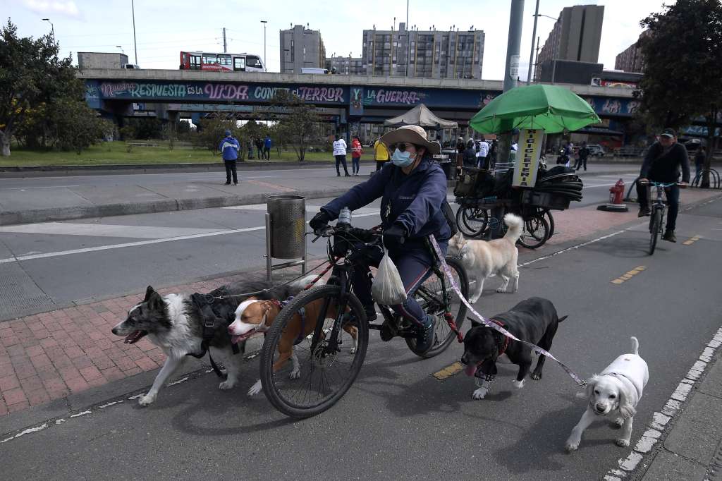 Personas dedicadas a pasear perros