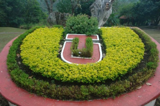 Universidad del Tolima le debe $30 mil millones a la Gobernación