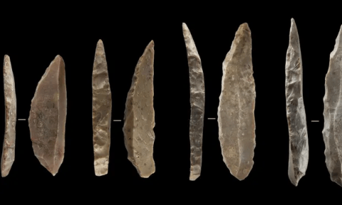 Los neandertales y humanos coexistieron en Francia y España durante más de mil años
